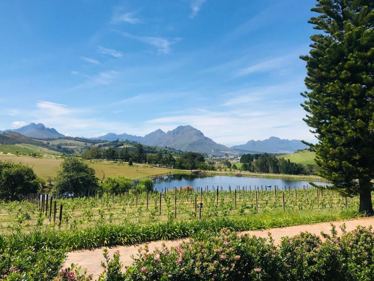 Winelands Guest Room Stellenbosch Exterior photo