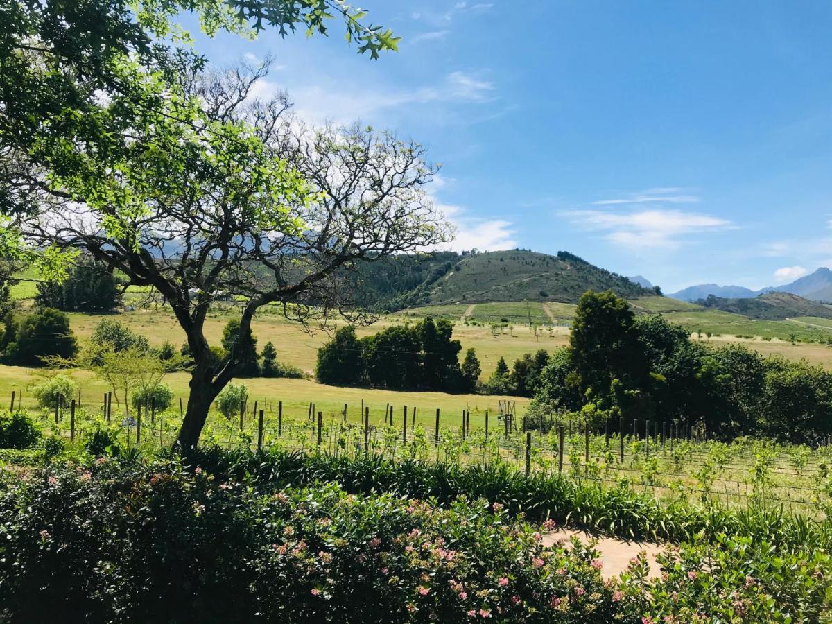 Winelands Guest Room Stellenbosch Exterior photo