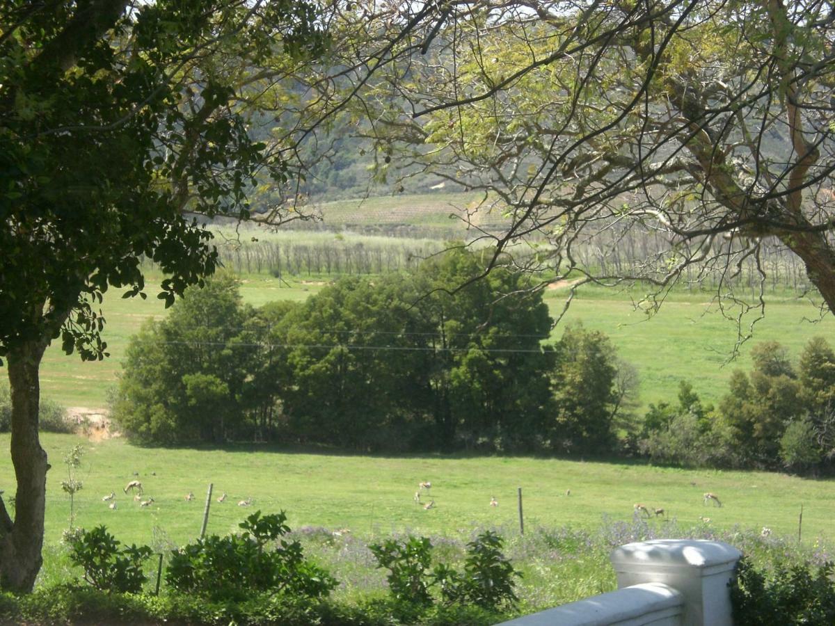 Winelands Guest Room Stellenbosch Exterior photo